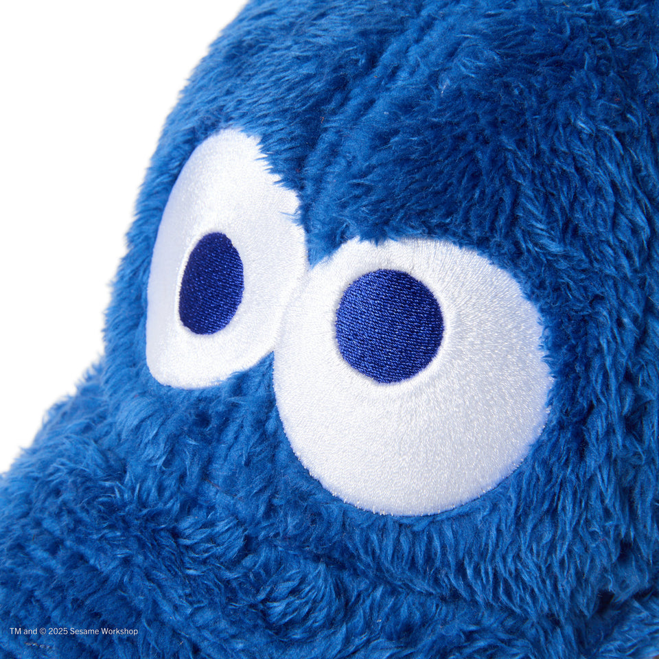 キッズ Youth 9TWENTY SESAME STREET セサミストリート Cookie Monster クッキーモンスター ブルー