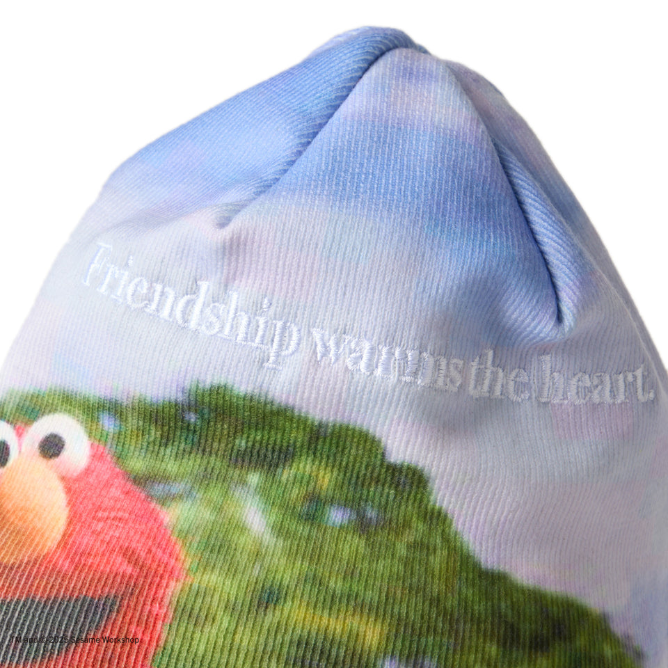ベーシック ビーニー SESAME STREET セサミストリート プリント