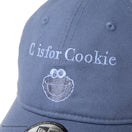 9TWENTY SESAME STREET セサミストリート C is for Cookie Cookie Monster クッキーモンスター スレート